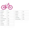 Kindermountainbikes < Academy PUMP 4 - 20" Kinderfiets - 2026 - frost