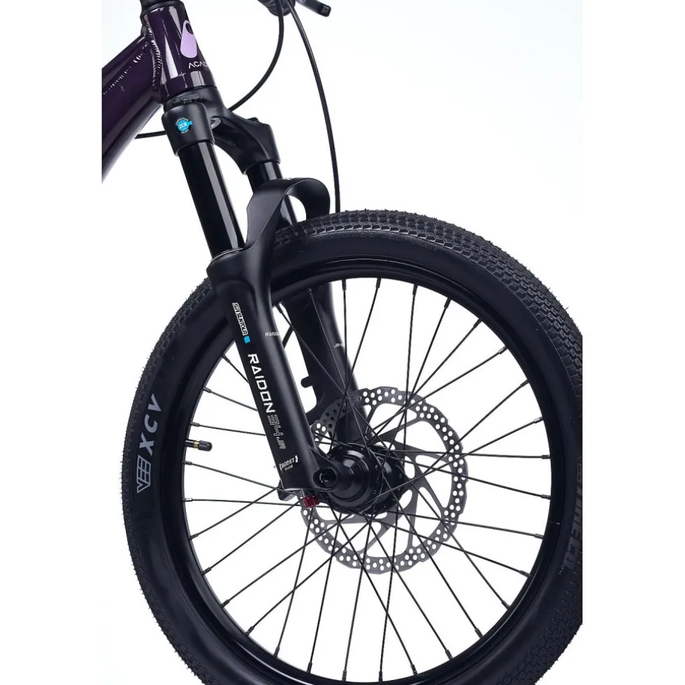 Academy PUMP 4 - 20" Kinderfiets - 2026 - plum