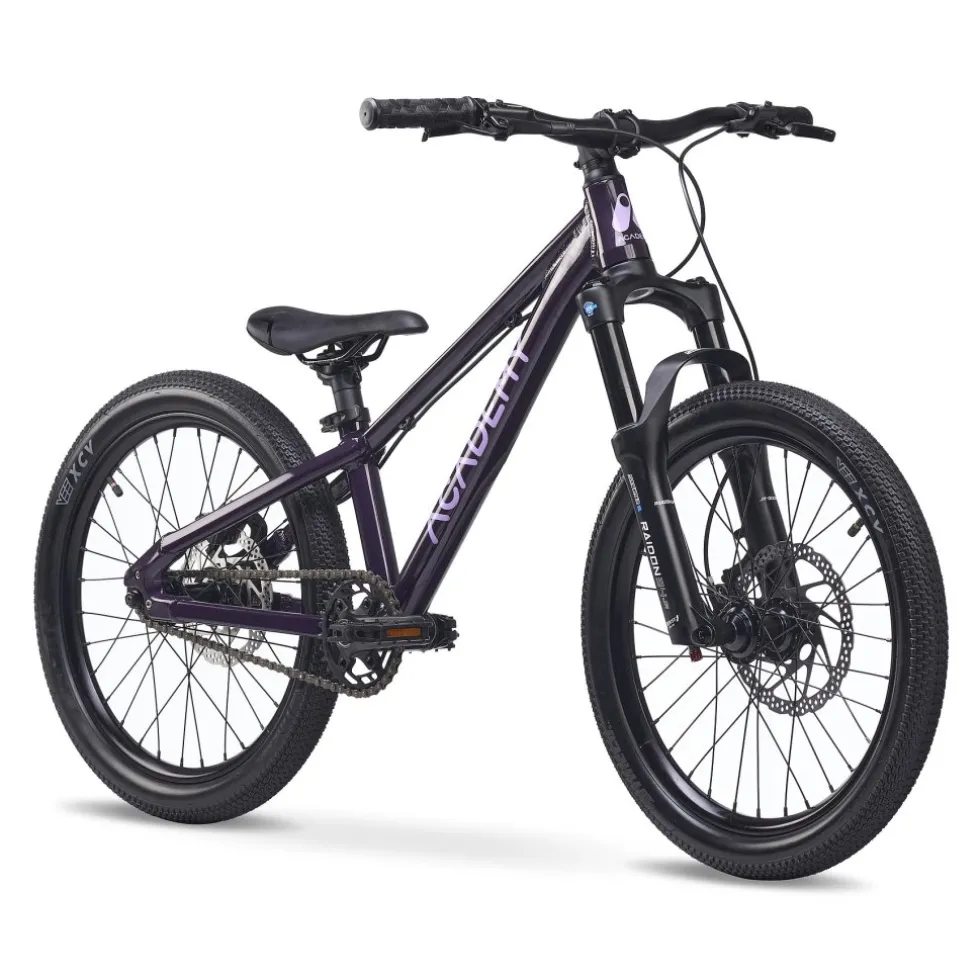 Academy PUMP 4 - 20" Kinderfiets - 2026 - plum