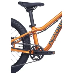 Kindermountainbikes < Academy Trail 4 R - 20" Kinder MTB - 2026 - barnsteen