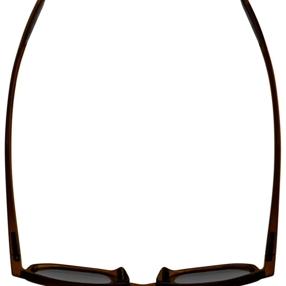 Alpina Dimont Brillen - brown transparent matt/brown