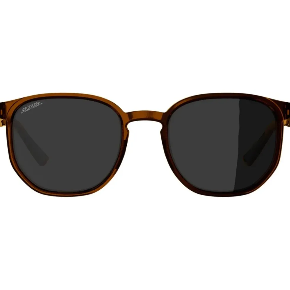 Alpina Dimont Brillen - brown transparent matt/brown