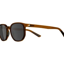 Alpina Dimont Brillen - brown transparent matt/brown