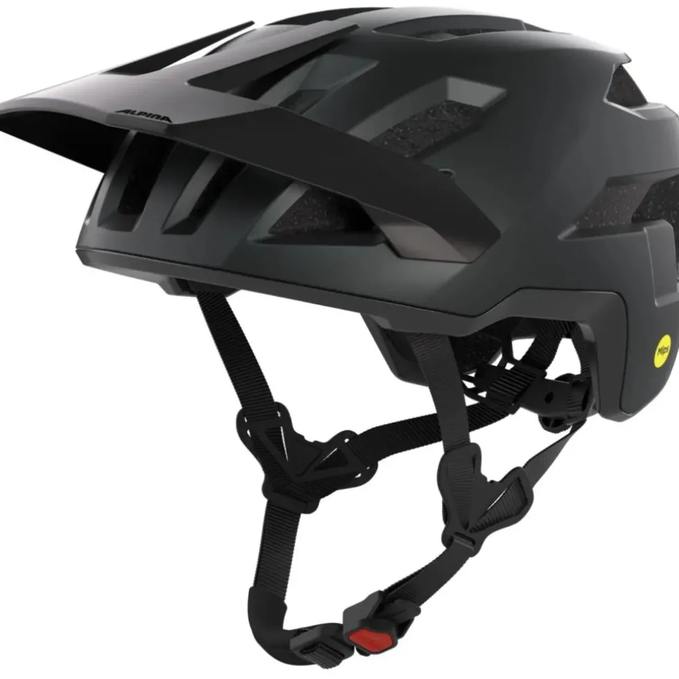 Alpina Casco Bici - Taunus MIPS - black matt