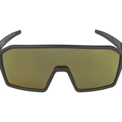 Mtb-Brillen < Alpina Ram Q-Lite Bril - black matt/Varioflex silver mirror