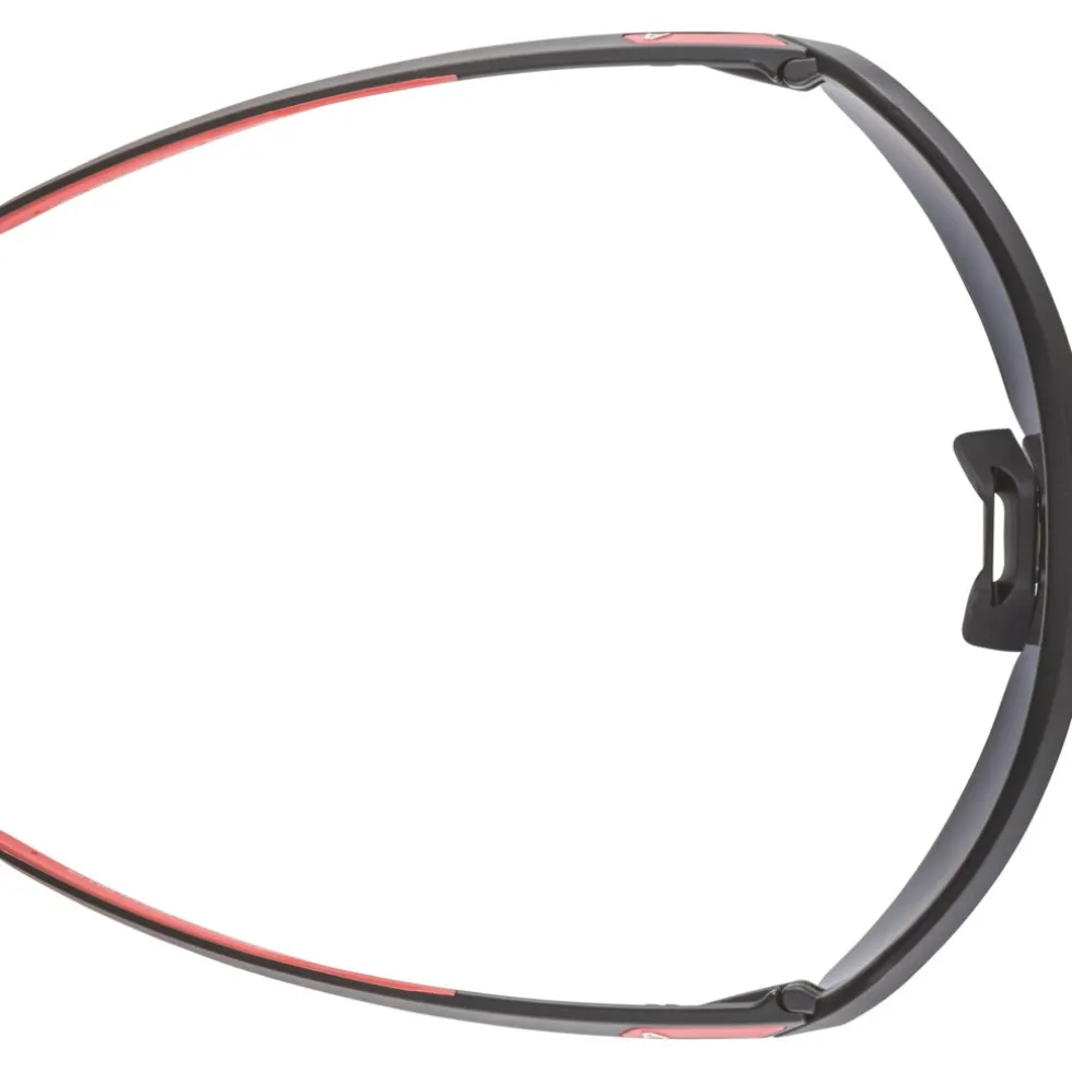 Alpina Turbo Pro Brillen voor kinderen - black matt/mirror red