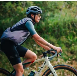 Vesten < Ale Aé PR-E auvage Fietvet Dae - iver