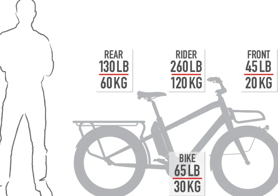Elektrische Fietsen|Elektrische Bakfietsen < Benno Bikes BOOST EVO 7 CX - 24" Elektrische Bakfiets voor Dames - 2026 - titanium grey