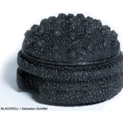 BLACKROLL TWISTER Fascia-Bal - black