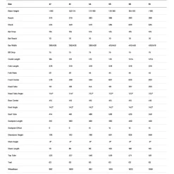 Endurance Racefietsen < BMC ROADMACHINE TWO - Carbon Racefiets - 2027 - metallic white