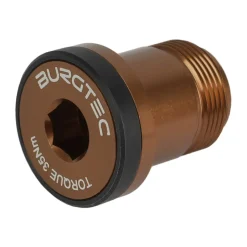 Bouten|Gereedschap En Onderhoud < Burgtec Achterderailleurbout - #1 | T-Type (SRAM) | voor XX / X0 Eagle - kash bronze