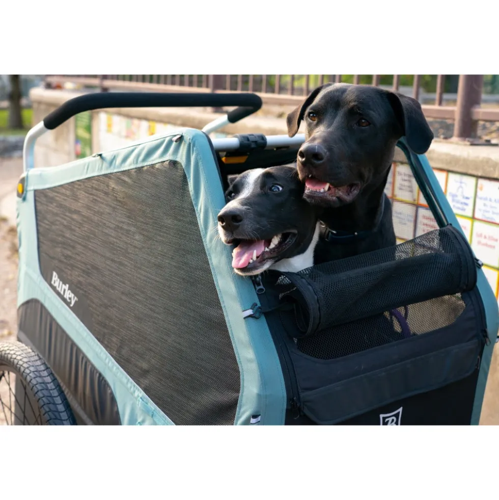 Burley Bark Ranger XL Fietskar voor Honden - zwart/turquoise mat