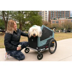Burley Bark Ranger XL Fietskar voor Honden - zwart/turquoise mat