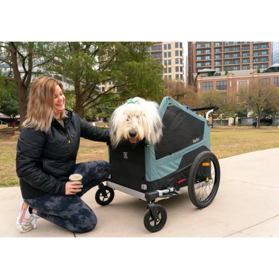Burley Bark Ranger XL Fietskar voor Honden - zwart/turquoise mat