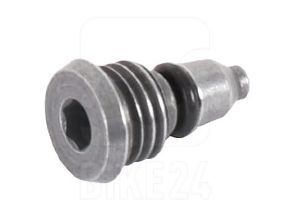 Campagnolo Bleeding Bolt for Ergopower