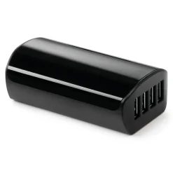 Stroomvoorziening|Stroomvoorziening < Campagnolo Oplader - voor WRL Accu | AC23-BCWRL
