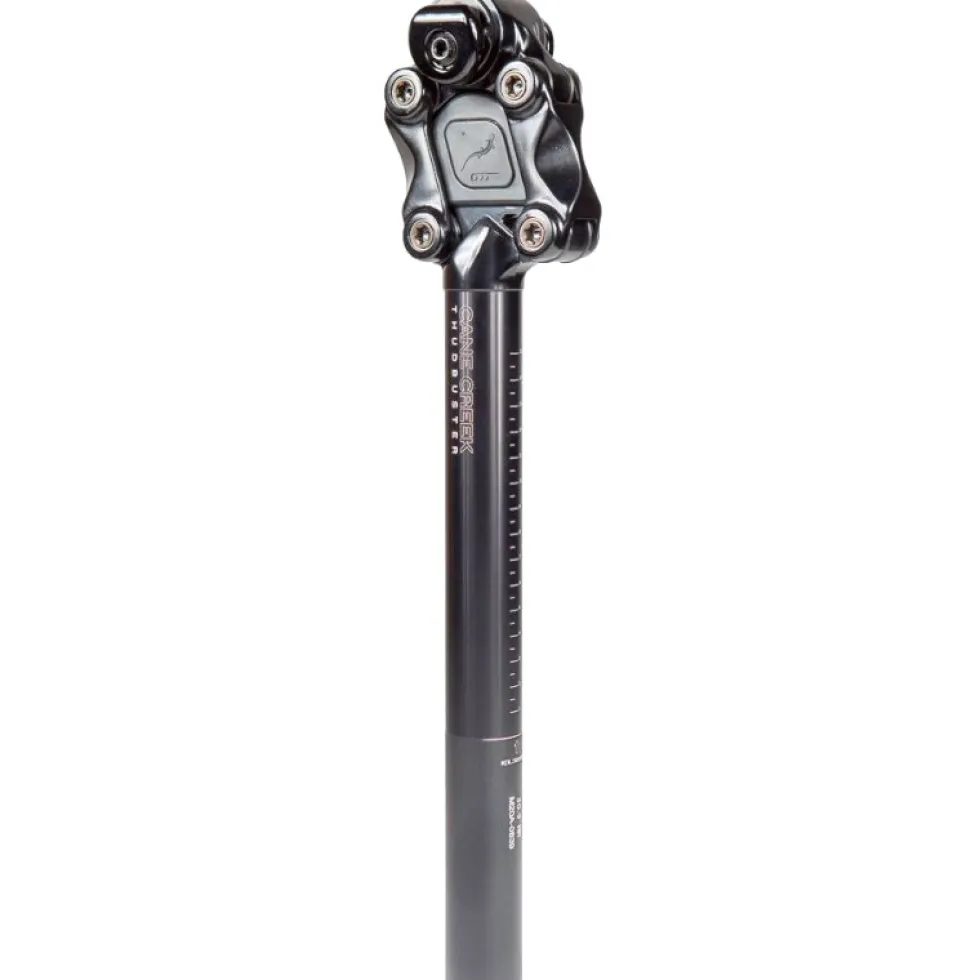 Cane Creek Thudbuster G4 ST Zadelpen - Lengte 375mm Ø 30.9mm