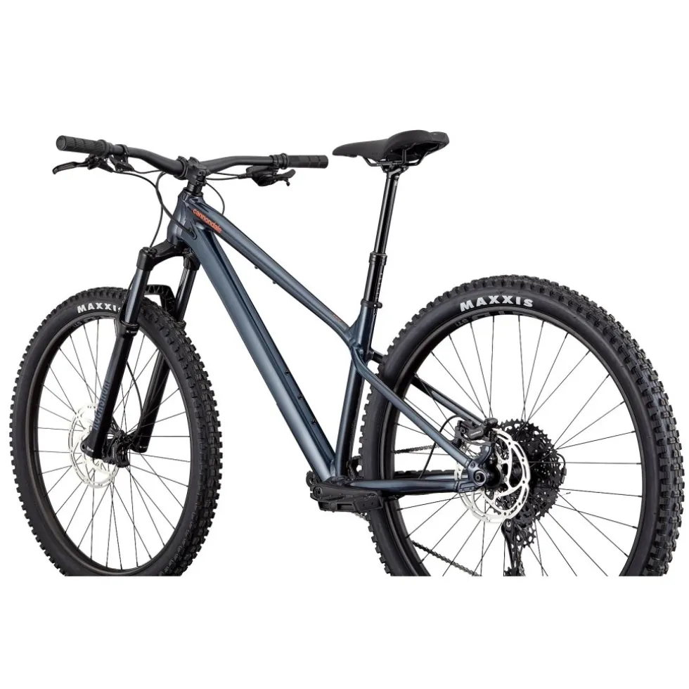 Cannondale HABIT HT 1 - 29" Mountainbike - 2026 - tungsten blue