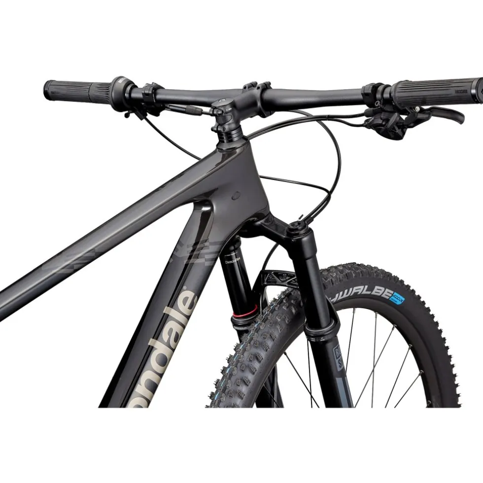 Cannondale SCALPEL HT CARBON 2 - 29" Mountainbike - 2026 - smoke black