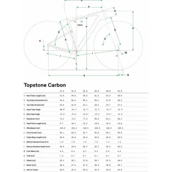 Cannondale TOPSTONE Carbon LTD Di2 - Gravelbike - 2025 - mantis gray