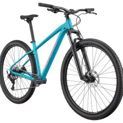 Mtb Hardtails < Cannondale TRAI 2 - ountainbike - 2026 - 29" | ion bue