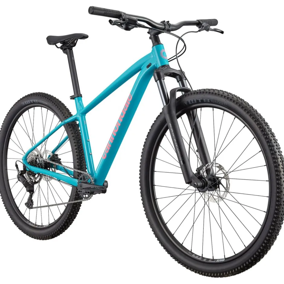 Mtb Hardtails < Cannondale TRAI 2 - ountainbike - 2026 - 29" | ion bue