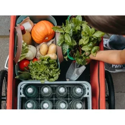 Bagagekarren < Croozer Cargo Pakko Vrachtkar - lava red