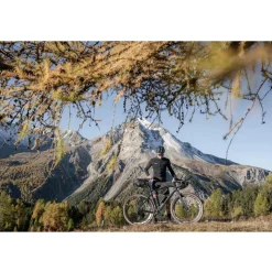 Cyclite Frame Bag Small / 02 Frametas - 1,4L - Light Grey