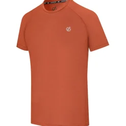 Dare 2b Accelerate T-Shirt Heren - ZSY ArabianSpice