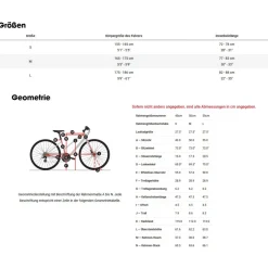 Diamant ZING DELUXE Gen 2 MIT 545 - 27.5" Dame Trekking E-Bike - 2024 - Bernina bruin metallic