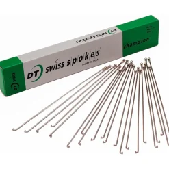 DT Swiss Champion Spaken 2,0 - zilver - 1 Stuk