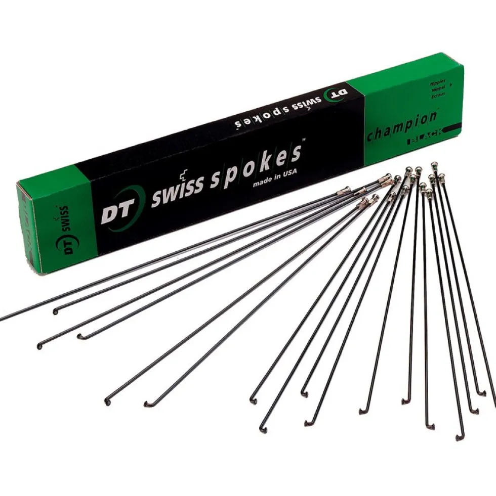 DT Swiss Champion Spaken 2,0 - zwart - 1 Stuk