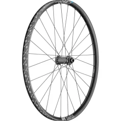 DT Swiss H 1900 SPLINE Wielset - 29