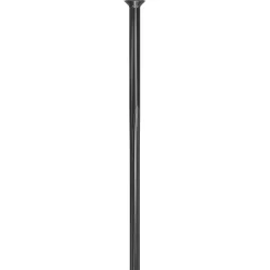 Spaken En Nippels < DT Swiss Revolite Straightpull Spaken 2,0/1,58/2,0-1,3/2,3 - zwart