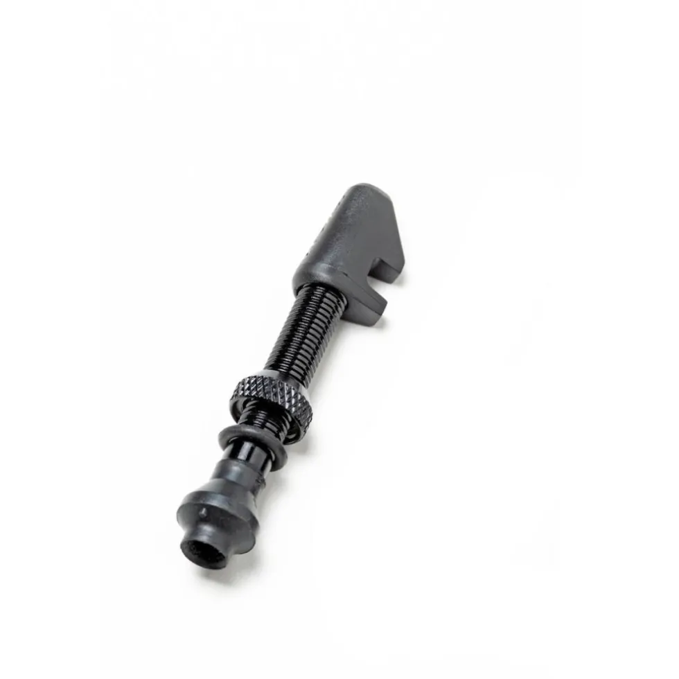 DT Swiss Tubeless Ventiel - Aluminium