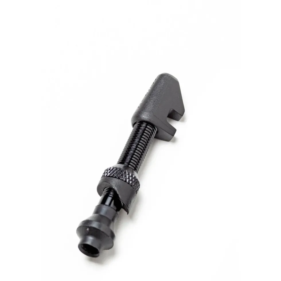 DT Swiss Tubeless Ventiel - Aluminium