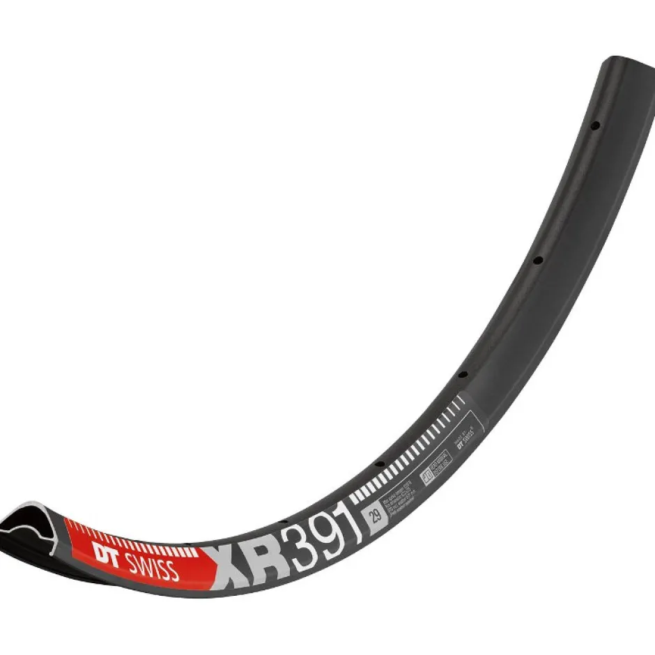 Velgen < DT Swiss XR 391 - 29" Disc MTB Velg - zwart