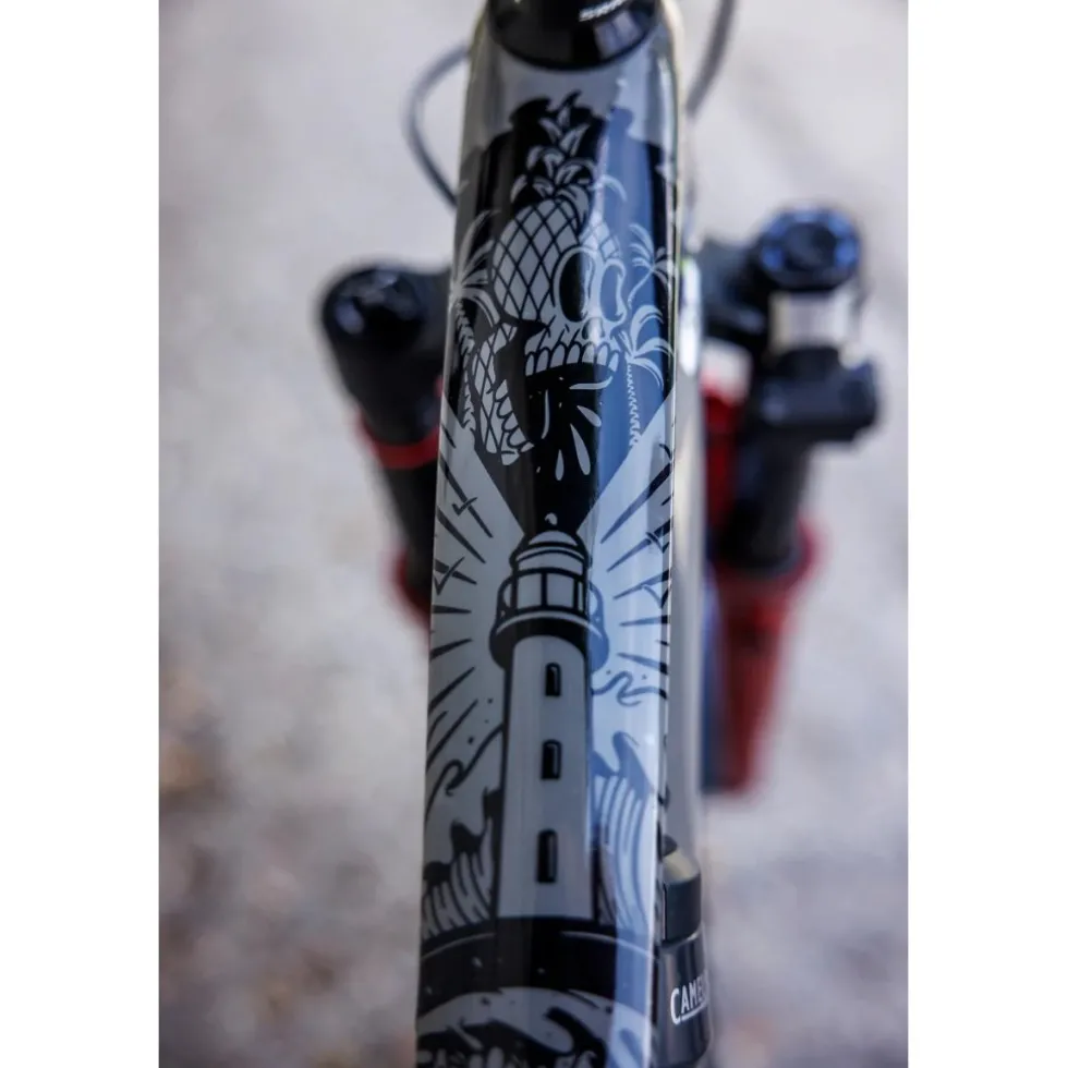 DYEDBRO Beschermfolie voor het Frame MTB - Surfs Up - zwart