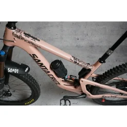 DYEDBRO Frame Protection Kit Ride or Die - black