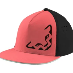 Dynafit Tech Trucker Pet - Cabana