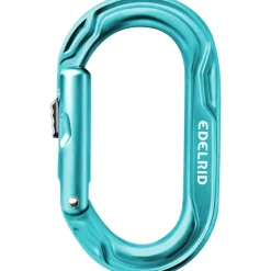 Edelrid Kiwi Slider Carabiner - icemint