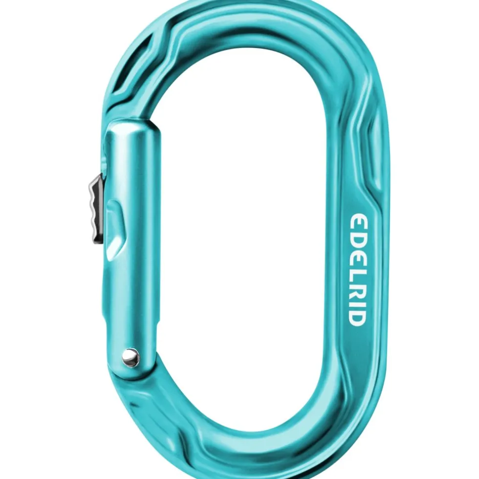 Edelrid Kiwi Slider Carabiner - icemint