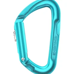 Edelrid Pure Slider Karabijnhaak - icemint