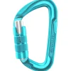 Edelrid Pure Triple III - Karabijnhaak - icemint