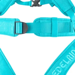 Klimgordels < Edelrid Fraggle III Kid's Harness - icemint