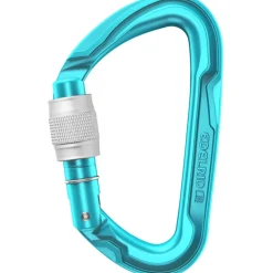 Edelrid Pure Screw III Karabijnhaak - icemint