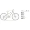 Eightshot COADY 275 FS DISC - 27.5" Kinder Mountainbike - 2026 - grey