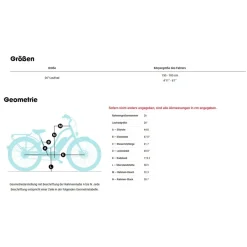 Elektrische Fietsen|Urban E-Bikes < Electra Townie Go! 5i Step-Thru - 26" City E-Bike - 2025 - ebony