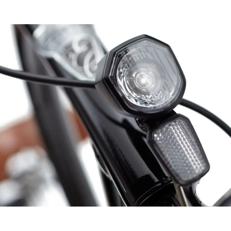 Elektrische Fietsen|Urban E-Bikes < Electra Townie Go! 5i Step-Thru - 26" City E-Bike - 2025 - ebony