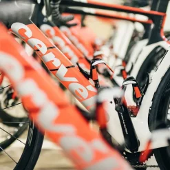 Elite Custom Race Plus Bottle Cage - black mat/white graphic